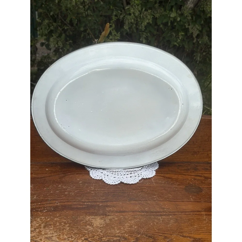 Enamelware Metal Turkey Serving Platter Tray Thanksgiving Veggies 17 3/4x 13 1/4